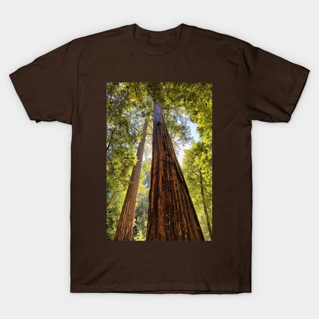 The Redwoods T-Shirt by yairkarelic